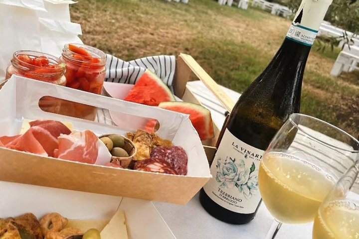 Degustación de Vinos y Visita Guiada al Viñedo y Bodega en S. Maria Imbaro