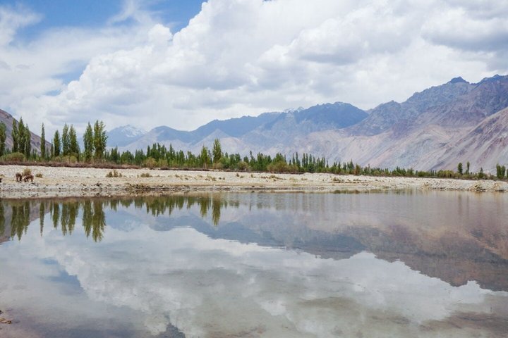 6 dage Privat Ladakh Tour Nubra Pangong og Khardung La Pass