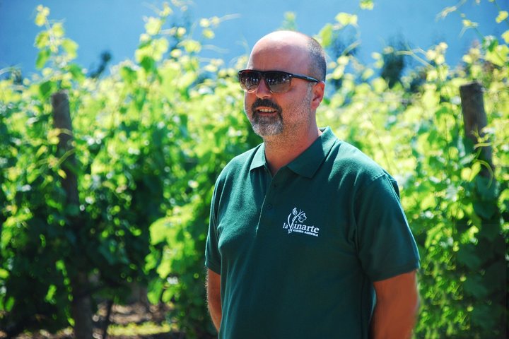 Degustación de Vinos y Visita Guiada al Viñedo y Bodega en S. Maria Imbaro