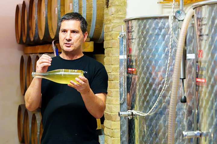Degustación de Vinos y Visita Guiada al Viñedo y Bodega en S. Maria Imbaro