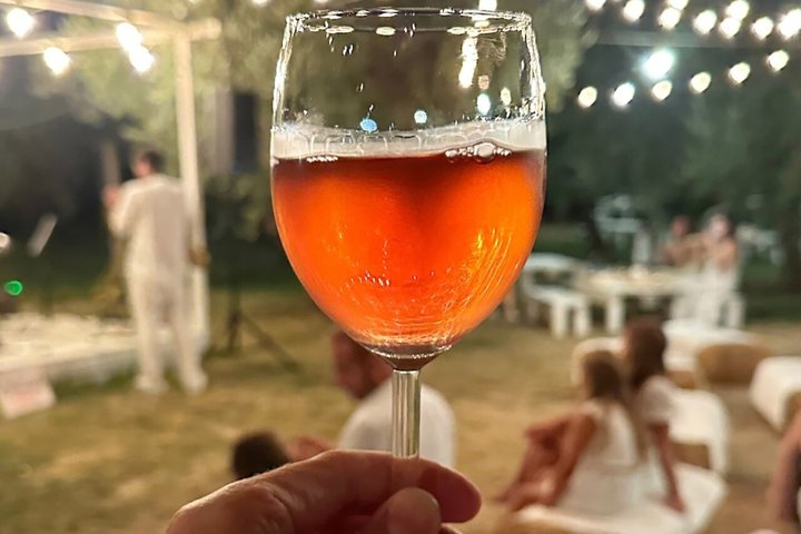 Degustación de Vinos y Visita Guiada al Viñedo y Bodega en S. Maria Imbaro