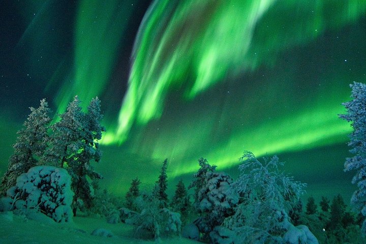 Aurora Borealis Experience Night Edition