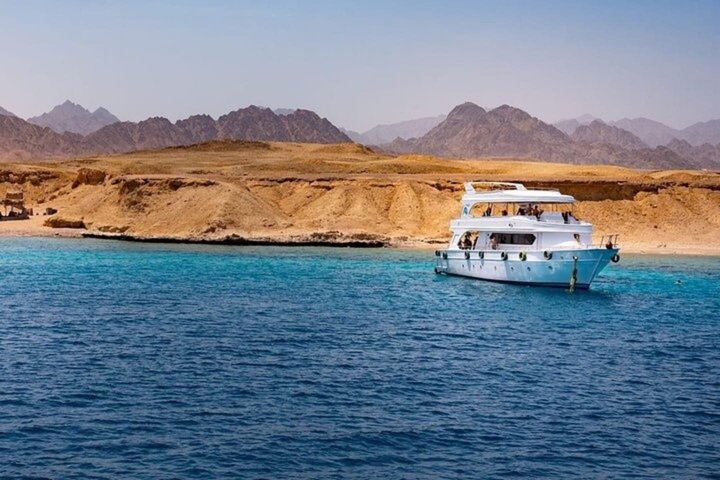 Ras Mohammed og White Island Snorkeling og dykking – Sharm El Sheikh