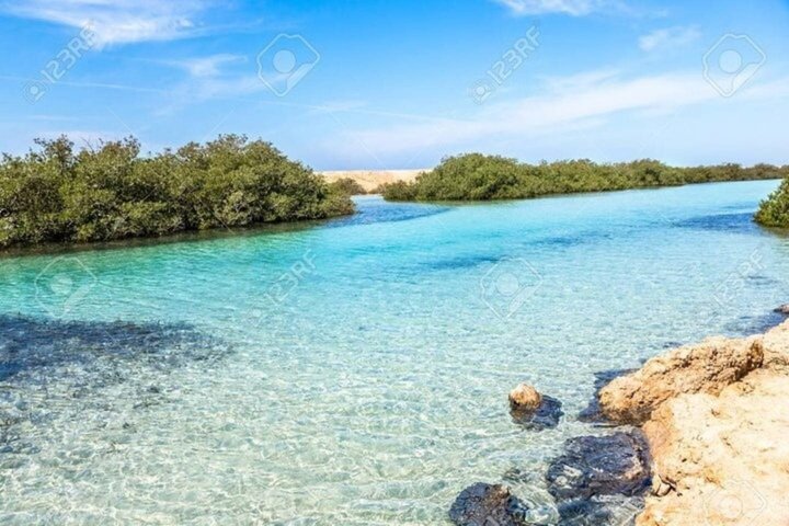 Ras Mohammed og White Island Snorkeling og dykking – Sharm El Sheikh