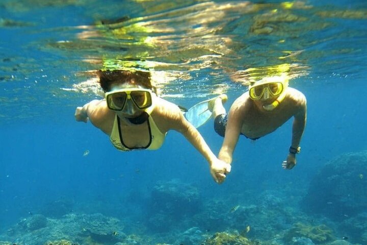 Ras Mohammed og White Island Snorkeling og dykking – Sharm El Sheikh