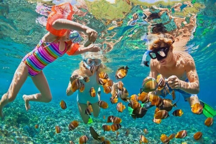 Ras Mohammed og White Island Snorkeling og dykking – Sharm El Sheikh
