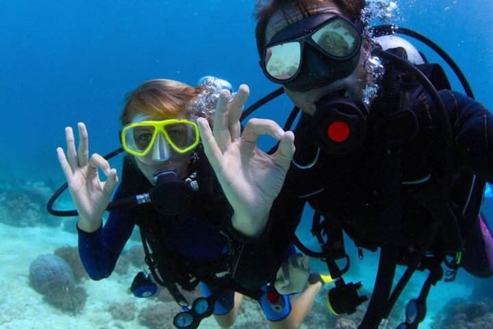 Ras Mohammed og White Island Snorkeling og dykking – Sharm El Sheikh