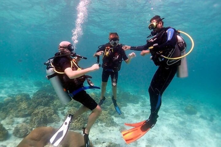 Ras Mohammed og White Island Snorkeling og dykking – Sharm El Sheikh