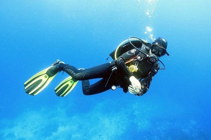 Ras Mohammed og White Island Snorkeling og dykking – Sharm El Sheikh