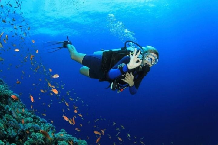 Ras Mohammed og White Island Snorkeling og dykking – Sharm El Sheikh