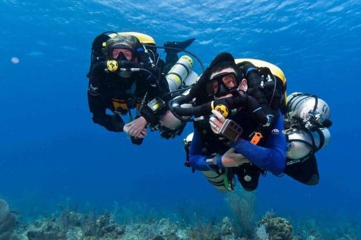 Ras Mohammed og White Island Snorkeling og dykking – Sharm El Sheikh