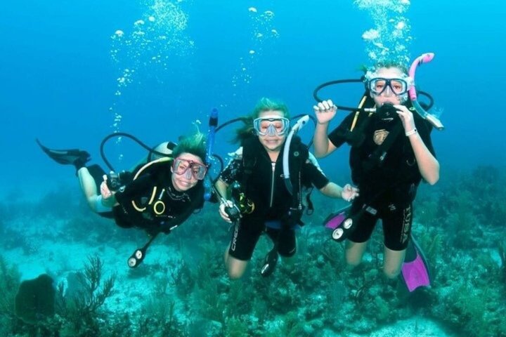Ras Mohammed og White Island Snorkeling og dykking – Sharm El Sheikh