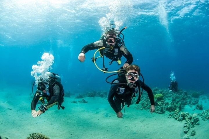 Ras Mohammed og White Island Snorkeling og dykking – Sharm El Sheikh