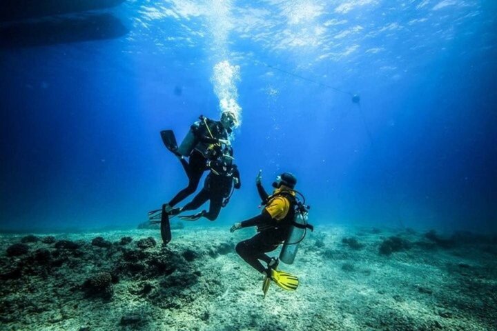 Ras Mohammed og White Island Snorkeling og dykking – Sharm El Sheikh