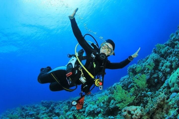 Ras Mohammed og White Island Snorkeling og dykking – Sharm El Sheikh
