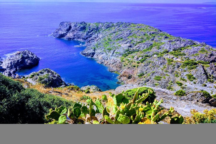 Dalí-museum en Costa Brava-tour met kleine groepen vanuit Girona