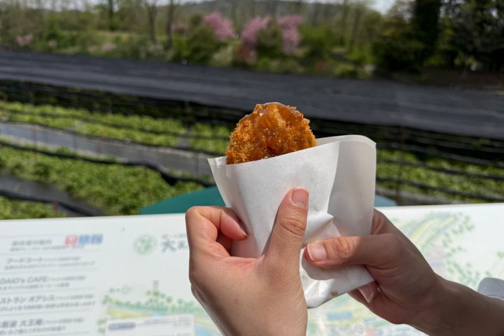 Narai-juku & Wasabi Grillmad: Nakasendo møder ægte smag