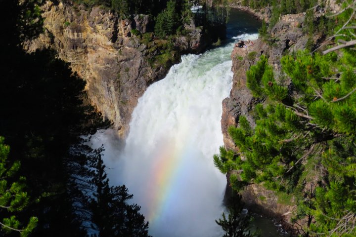 Grand Canyon do Yellowstone Rim and Loop Hike com almoço