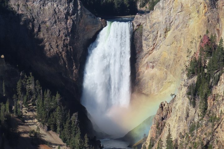 Grand Canyon do Yellowstone Rim and Loop Hike com almoço