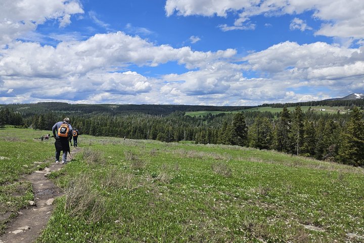 Grand Canyon do Yellowstone Rim and Loop Hike com almoço