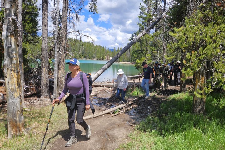 Grand Canyon do Yellowstone Rim and Loop Hike com almoço