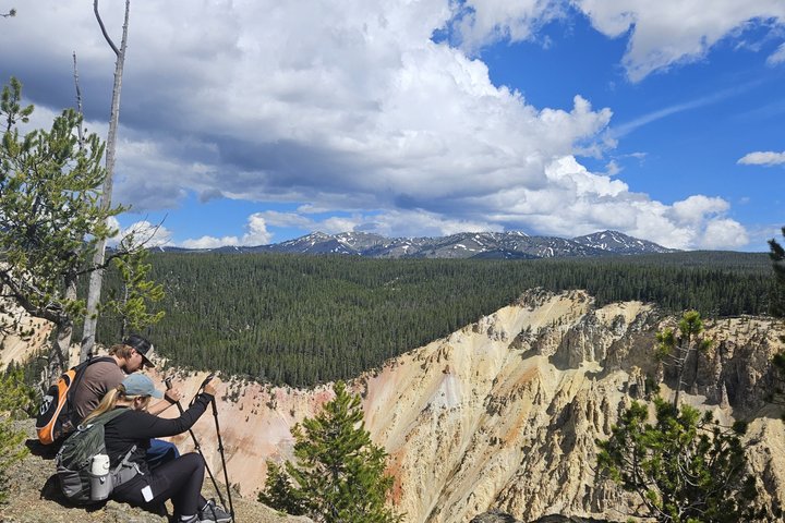 Grand Canyon do Yellowstone Rim and Loop Hike com almoço