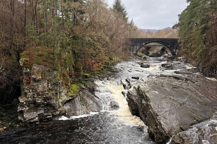 Invergordon o Inverness: tour privato di lusso a Loch Ness