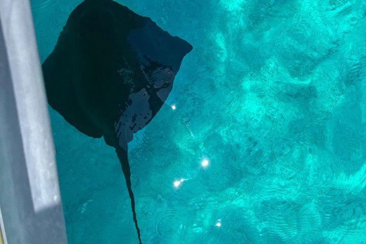 Sarandë : Excursion en bateau en petit groupe avec arrêts baignade, boissons et parasols