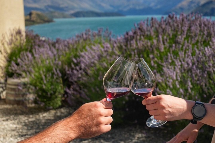 Wanaka Weintouren mit Mittagessen und Verkostungen