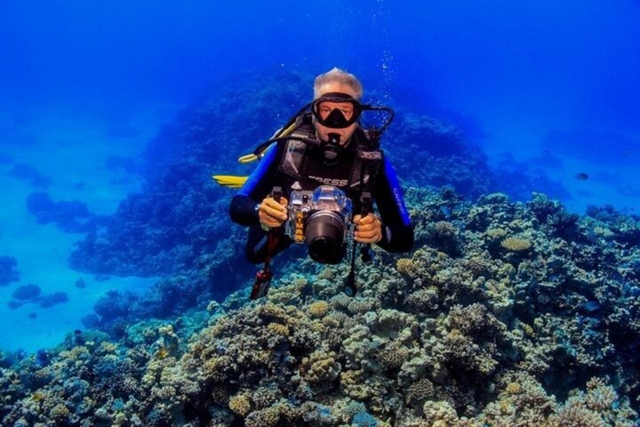 Snorkeling sull'isola di Tiran, crociera subacquea e pranzo - Sharm el Sheik