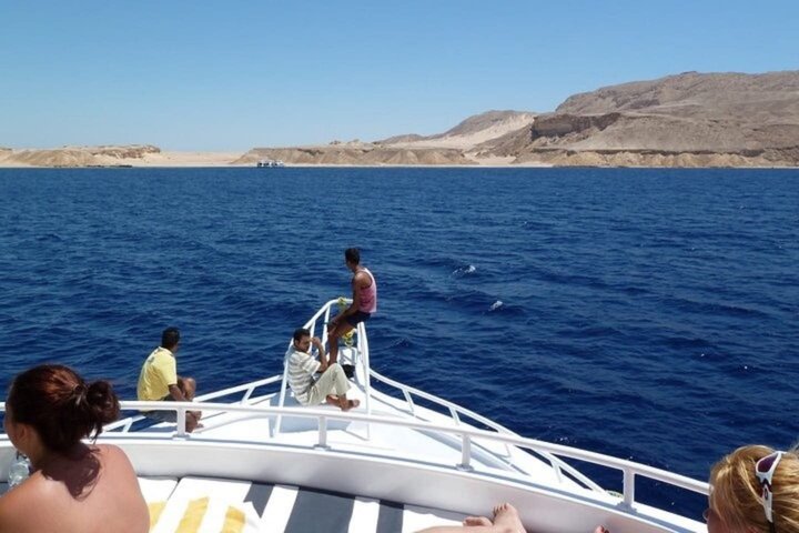 Snorkeling sull'isola di Tiran, crociera subacquea e pranzo - Sharm el Sheik