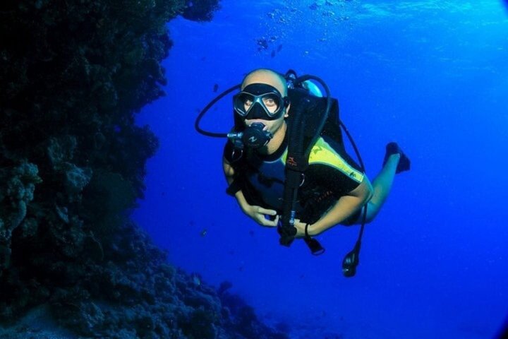 Snorkeling sull'isola di Tiran, crociera subacquea e pranzo - Sharm el Sheik
