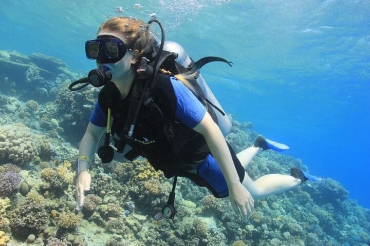 Snorkeling sull'isola di Tiran, crociera subacquea e pranzo - Sharm el Sheik