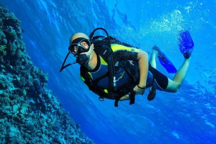 Snorkeling sull'isola di Tiran, crociera subacquea e pranzo - Sharm el Sheik