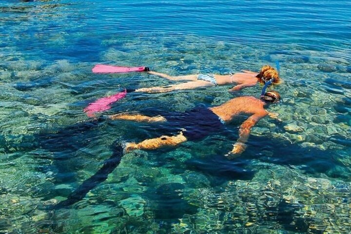 Snorkeling sull'isola di Tiran, crociera subacquea e pranzo - Sharm el Sheik