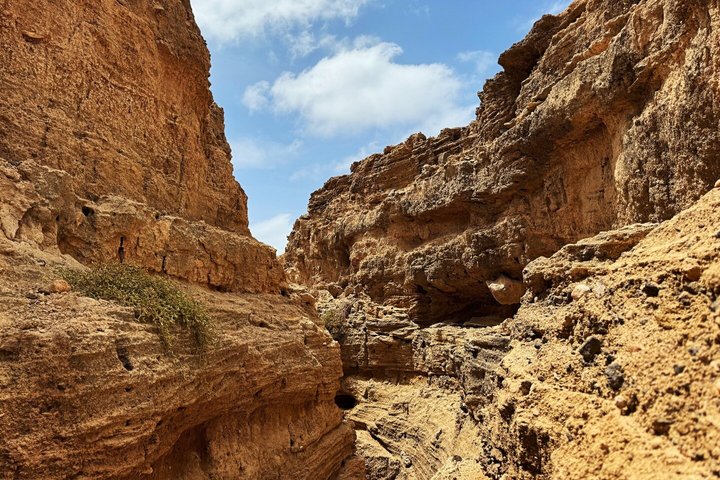 Boa Vista Grand Canyon Spiagge Nascoste Avventura del Relitto