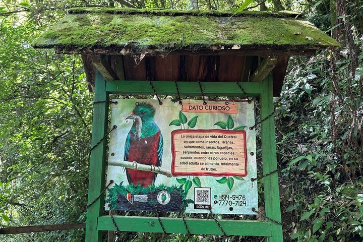 Tour del rifugio Quetzal e pernottamento nel villaggio Maya - Due giorni