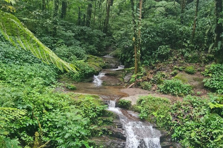 Tour del rifugio Quetzal e pernottamento nel villaggio Maya - Due giorni