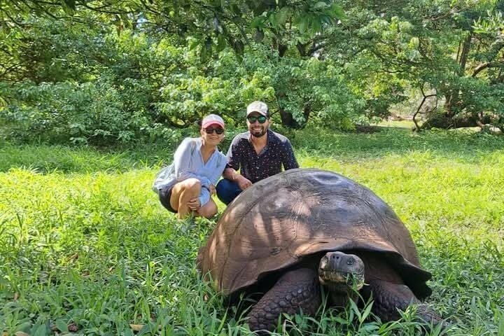 Tour Giant Tortoises, Lava Tunnels & Stop at Los Gemelos Craters”