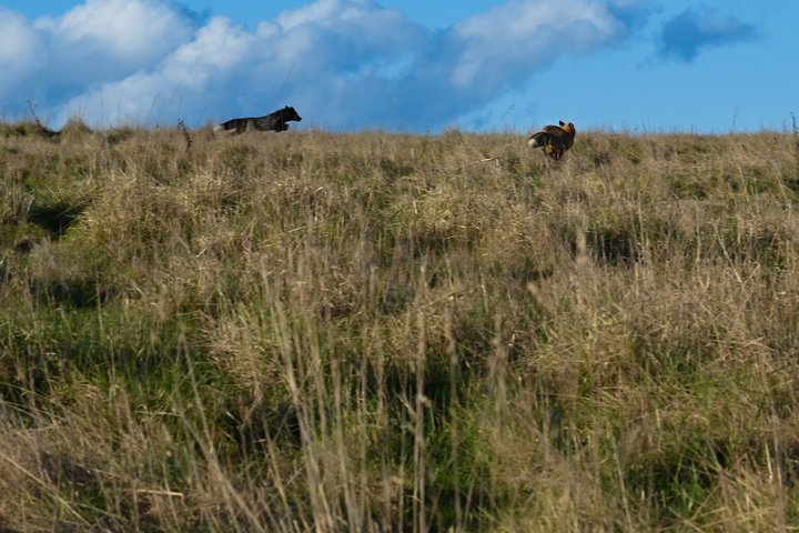 Naturskön vandring med fantastisk utsikt genom frodiga skogslandskap
