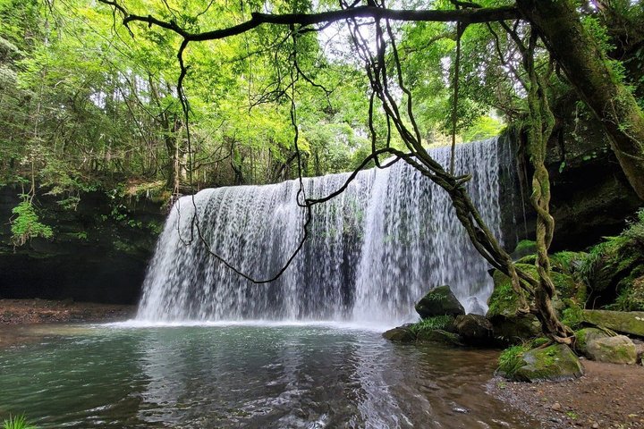 Oita : Cascada de Kuju y Tour Geotármico Privado