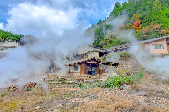 Oita : Cascada de Kuju y Tour Geotármico Privado
