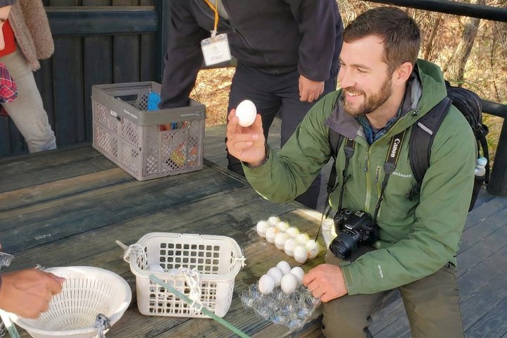Oita : Cascada de Kuju y Tour Geotármico Privado