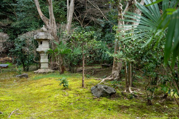 Cérémonie de dégustation et de thé Uji Matcha avec l'ancien Geiko + Uji Walk