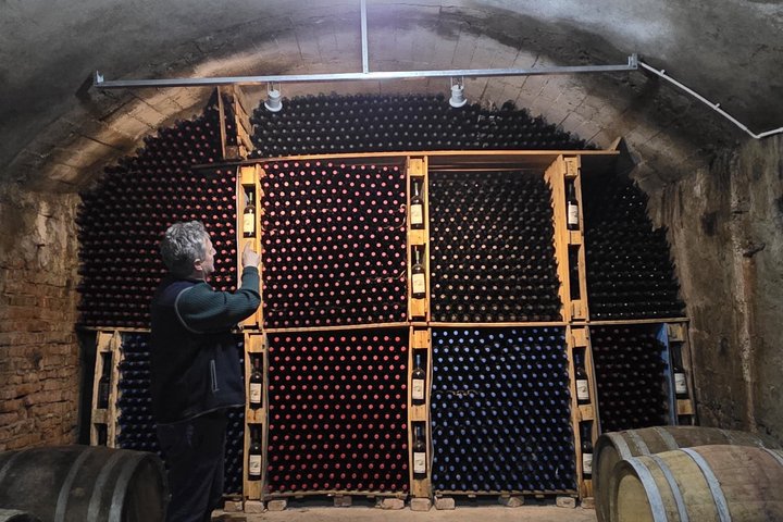 Besichtigung des Vreshti i Pashait Weintunnels und Verkostung