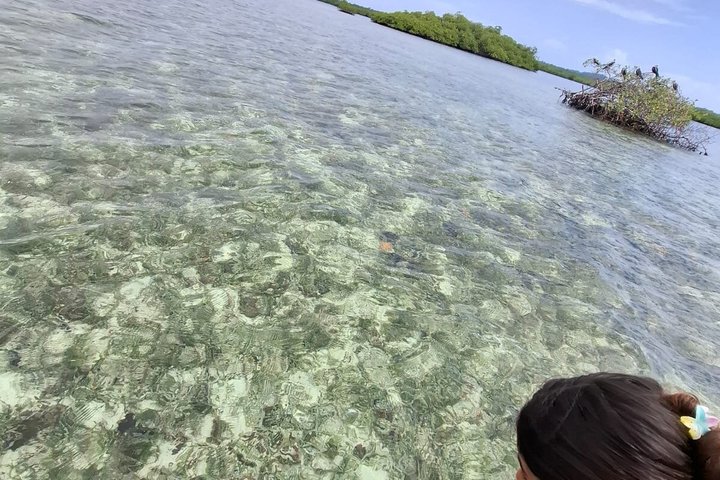 Bocas del Toro Tour en Barco Zapatilla Snorkeling y Island Hopping