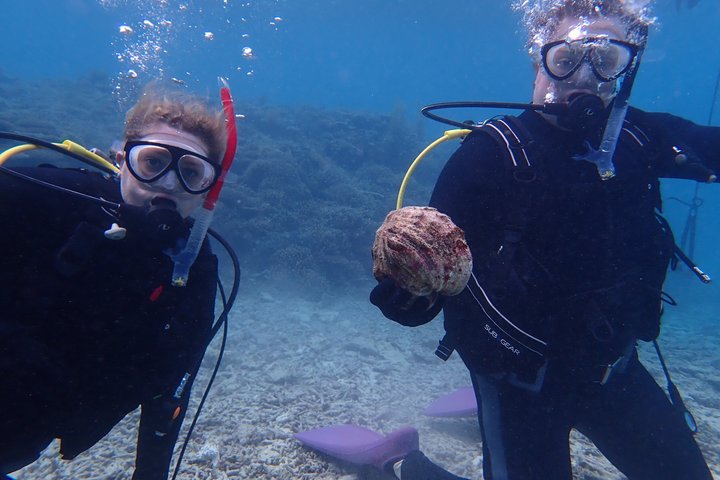 Dykkeroplevelse på Ishigaki Island ~ Tilgængelig selv om vinteren ~ Uanset regn ~ Udstyrsleje inkluderet ~ Brusere tilgængelige ~ Gratis billeder ~