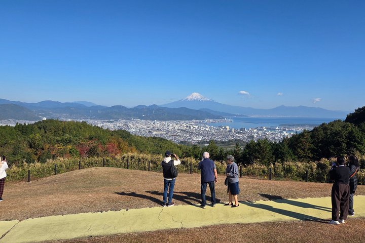 Courte visite pour voir le mont Fuji de divers angles depuis le port de Shimizu