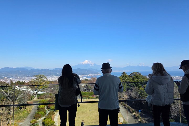 Courte visite pour voir le mont Fuji de divers angles depuis le port de Shimizu
