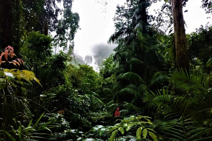 Dudhsagar Waterfalls Tour Jeep Safari og Spice Plantation Besøg